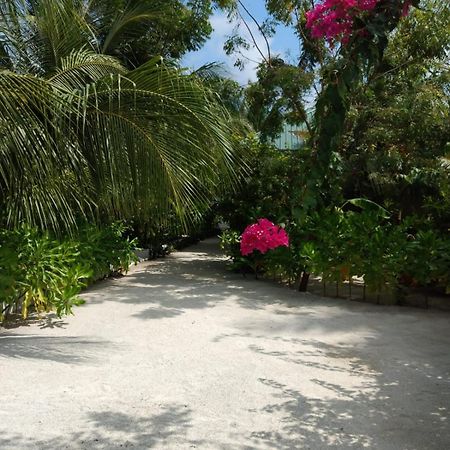 Sunrise Inn Thoddoo Kültér fotó