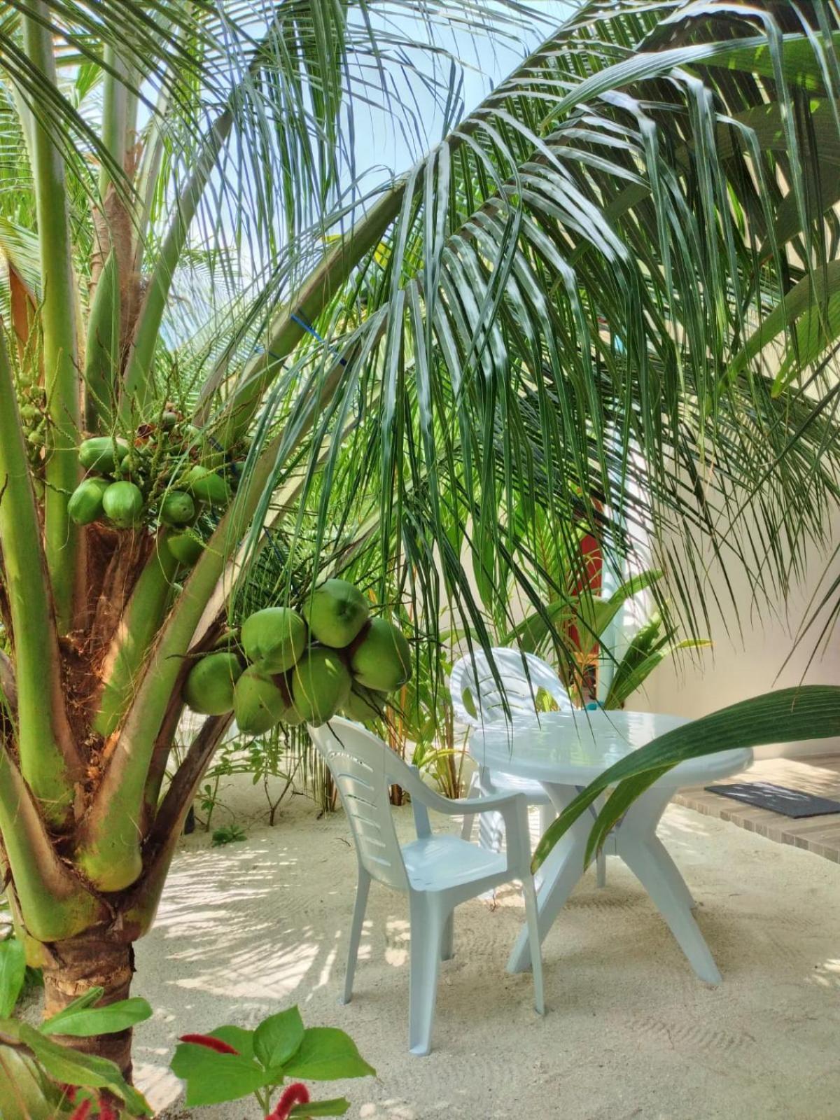 Sunrise Inn Thoddoo Kültér fotó